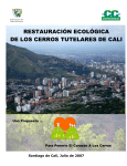 Cerros Tutelares de Cali - 308210. valledelcauca.gov.co
