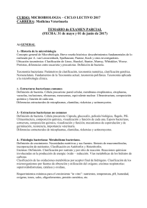 SEGUNDO PARCIAL: 28 y 29 de junio de 2000