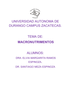 UNIVERSIDAD AUTONOMA DE DURANGO CAMPUS ZACATECAS