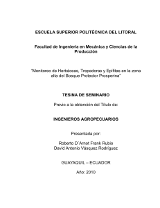 FRANK RUBIO ROBERTO D´ARNOT, VÁSQUEZ RODRÍGUEZ