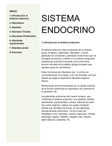 SISTEMA ENDOCRINO 1.-Introduccion al sistema endocrino El