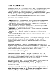 FASES DE LA MEMORIA (www