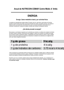 Energía. Gasto metabólico basal y por actividad física