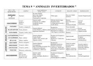 TEMA 9 ANIMALES INVERTEBRADOS