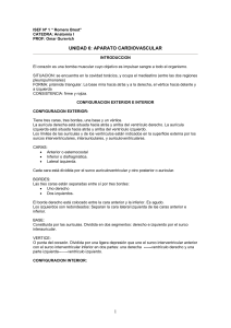 Aparato cardiovascular