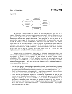 Clase de Bioquímica 07/08/2002