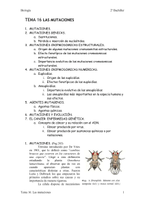 Aneuploídias de autosomas