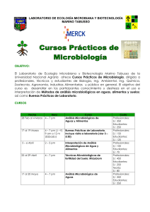 Curso