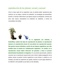 reproduccion_de_las_plantas