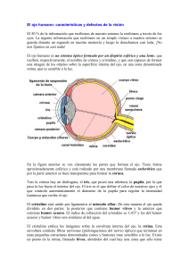El ojo humano: características y defectos de la visión