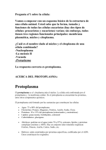 Protoplasma - hiscience