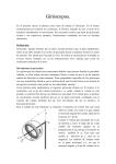 El tipo de movimiento poco comun y fascinante es el de un trompo