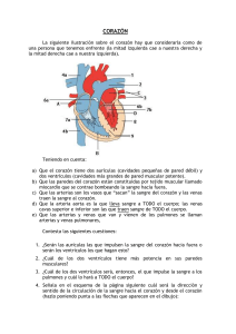 corazón - Sciencia