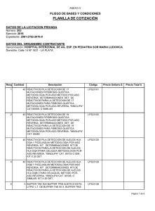 ANEXO IV PLIEGO DE BASES Y CONDICIONES PLANILLA DE