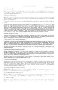 corrección idiomática