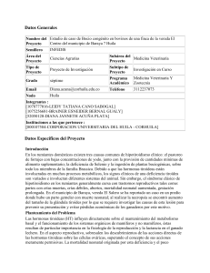 Datos Generales Nombre del Proyecto Estudio de caso de Bocio