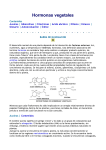 Hormonas vegetales