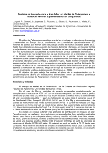 Cambios en la arquitectura y área foliar en plantas de Pelargonium