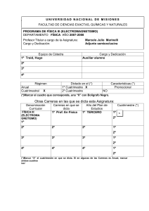 programaelectromagnetismo07