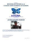 proyecto - Colegio Santo Domingo de Guzmán