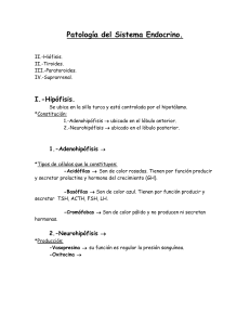 Endocrino - OdontoChile