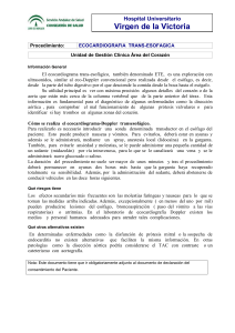 Informaci&oacute;n espec&iacute;fica Eco transesof&aacute;gico