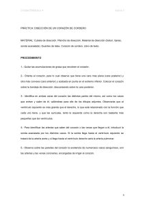 Unidad Didáctica 4 Anexo I PRÁCTICA: DISECCIÓN DE UN