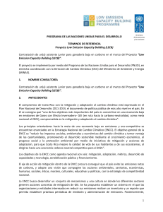 programa de las naciones unidas para el desarrollo