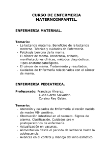 la lactancia materna