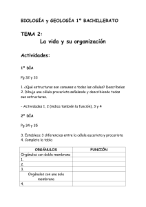 BIOLOGÍA y GEOLOGÍA 1º BACHILLERATO