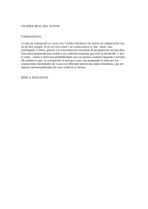 examen irac del 18/05/08 - IRAC