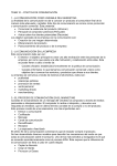 TEMA 10 – POLÍTICA DE COMUNICACIÓN 1.