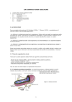 UD 2 – LA ESTRUCTURA CELULAR