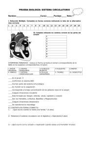 prueba de sistema circulatori0