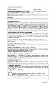 Alstroemeria garaventae