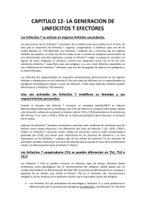 CAPITULO 12- LA GENERACION DE LINFOCITOS T EFECTORES