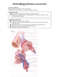 ¿Cuál es la propuesta? Estudio del músculo esquelético y liso como