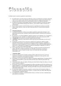 Se deben tomar en cuenta las siguientes características: En primer