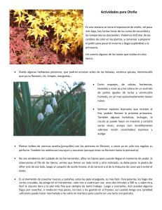 Actividades para Otono - Garden Club Argentino