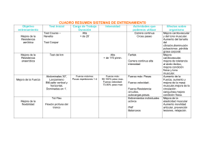CUADRO RESUMEN SISTEMAS DE ENTRENAMIENT0