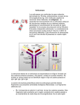 Inmunología - Precipitación - Microbiología e Inmunología