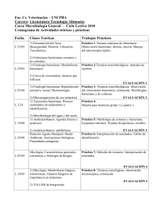 Cronograma de Actividades Micro LTA 2010