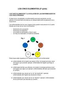 LOS CINCO ELEMENTOS (2ª parte)