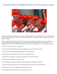 los nuevos cardenales nombrados por el papa y su apoyo al pueblo