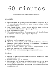 Diccionario II