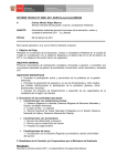 INFORME TECNICO N° 00001-2011-DGECCA