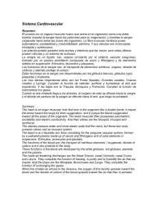 Elementos figurados de la sangre