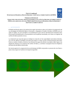 ToR_CONSULTORÍA APOYO PNCC EN EL MARCO DEL
