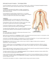 Enfermedad Coronaria Tratamiento De Enciclopedia Médica