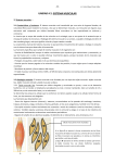Sistema muscular - Colegio Santa Ursula Fe Arequipa